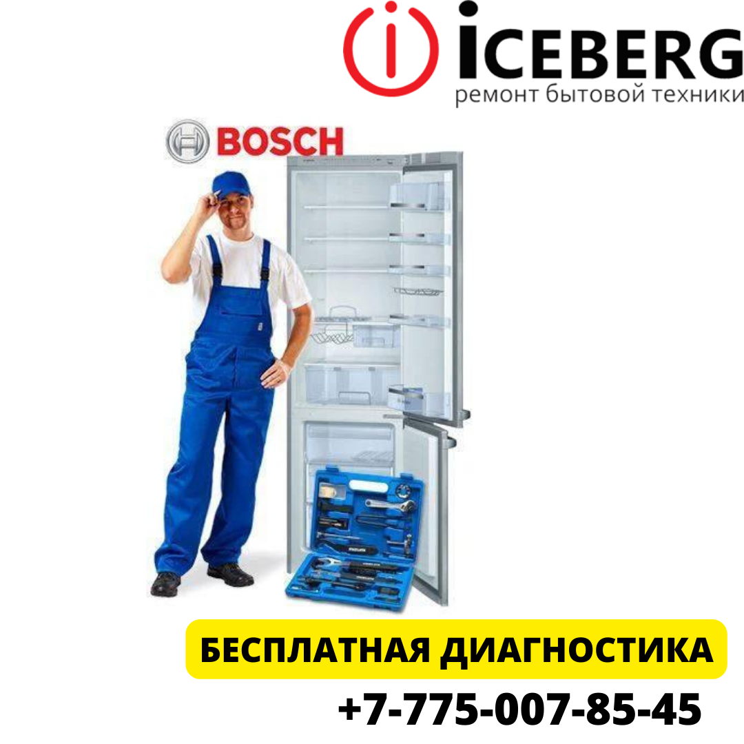 Ремонт холодильников Бош в Сулпак Алматы