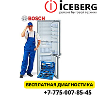 Ремонт холодильников Бош в Сулпак Алматы