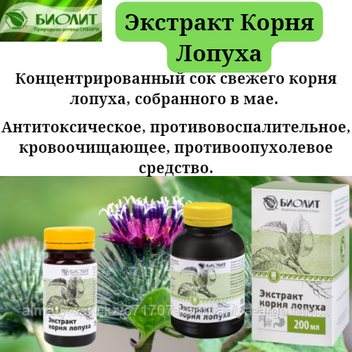 Экстракт корня лопуха биолит применение. Корень лопуха молодого. Корень репейника при онкозаболеваниях. Корень лопуха при онкологии. Сок лопуха от кисты.