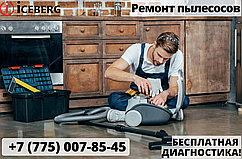 Ремонт пылесосов в Усть-Каменогорске