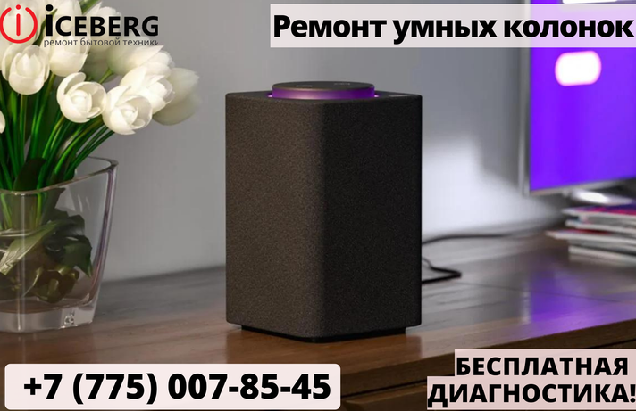 Ремонт умных колонок в Шымкенте, фото 1