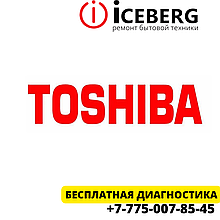 Сервисный центр по ремонту техники Toshiba в Астане.