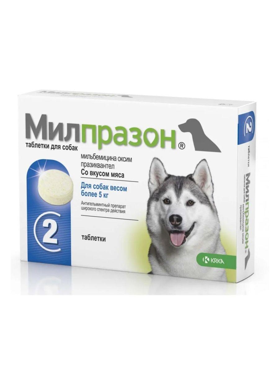 Милпразон Таблетки от гельминтов для собак от 5 кг