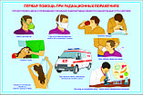 Плакаты Оказание первой медицинской помощи, фото 7