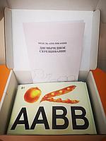 БМ.8 Модель аппликация. Дигибридное скрещивание