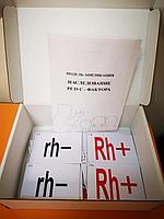 БМ.12 Модель аппликация. Наследование резус-фактора