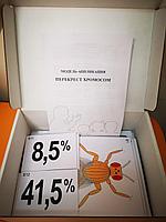 БМ.13 Модель аппликация. Перекрест хромосом