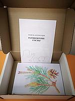 БМ.17 Модель аппликация. Размножение сосны