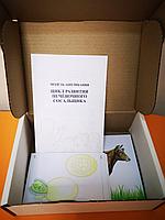 БМ.26 Модель аппликация. Цикл развития печеночного сосальщика