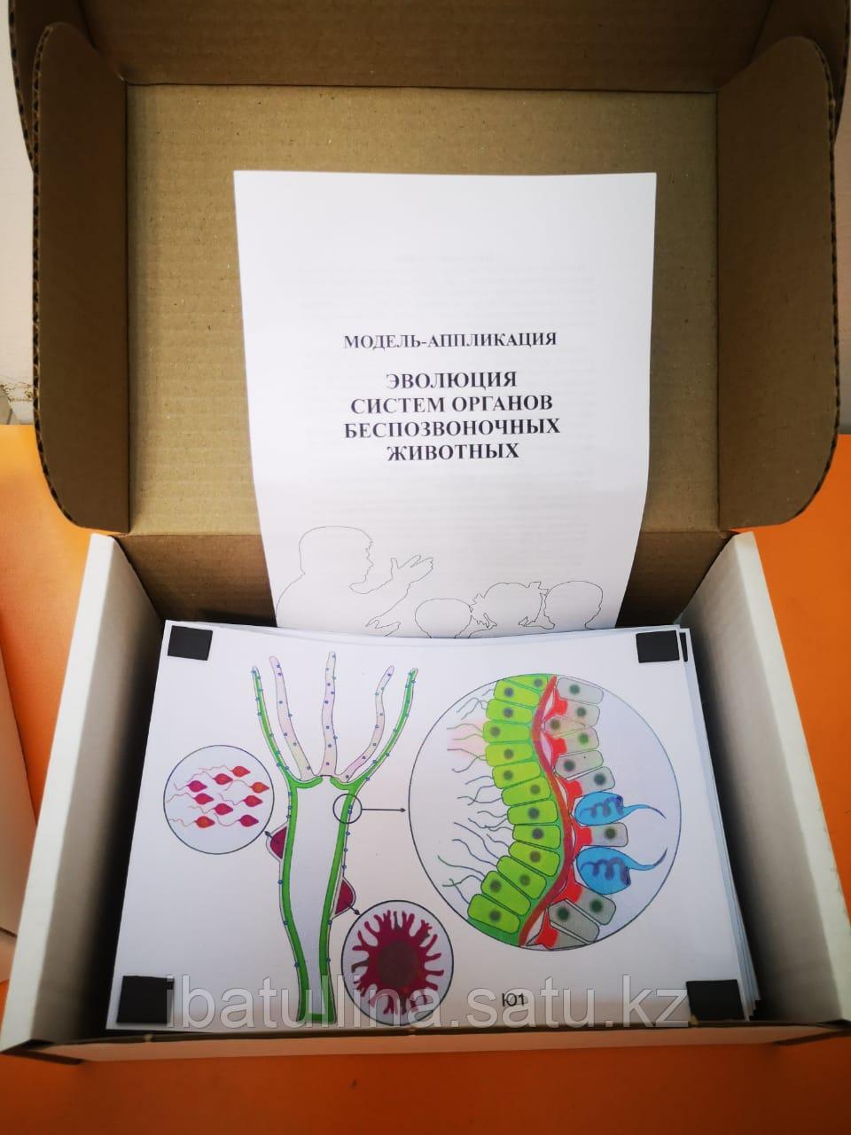 Жасырын секс сағаты