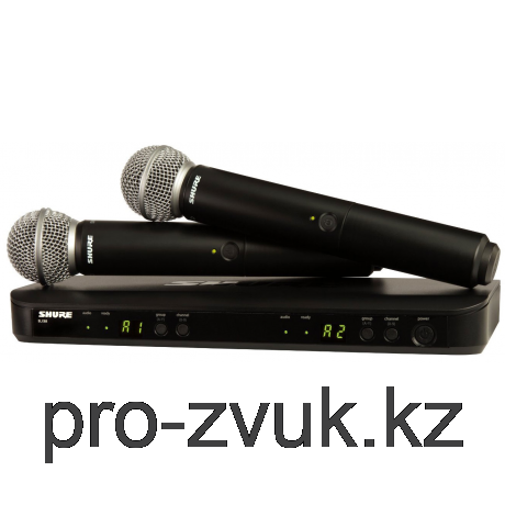 SHURE BLX288E/PG58 M17 ВОКАЛЬНАЯ РАДИОСИСТЕМА - фото 1 - id-p107594544