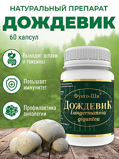 Визувтегі қыздар