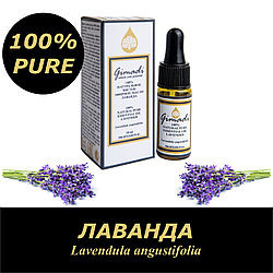 Лаванда (Lavendula angustifolia), эфирное масло 100% натуральное чистое, 10 мл