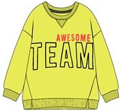 Детский свитшот AWESOME TEAM 110