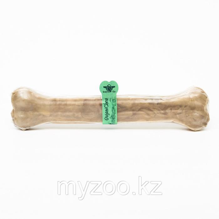Green Qzin для собак жильная кость 25см, 290гр