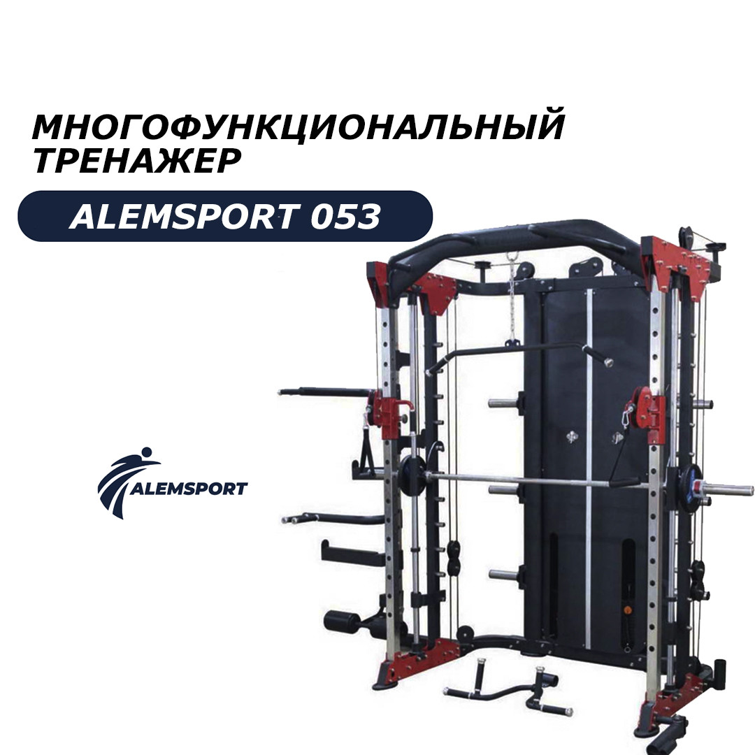 Многофункциональный тренажер ALEMSPORT 053