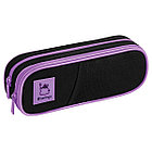 Пенал мягкий 2 отделения, 220*80*50 Berlingo "Working cat", полиэстер, внутр. органайзер, фото 2