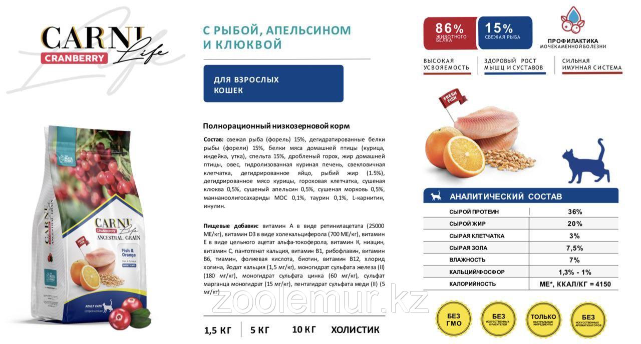 CARNI LIFE ANCESRAL GRAIN FISH & ORANGE ADULT Корм для взрослых кошек с лососем, с апельсином и клюквой - фото 2 - id-p107619483