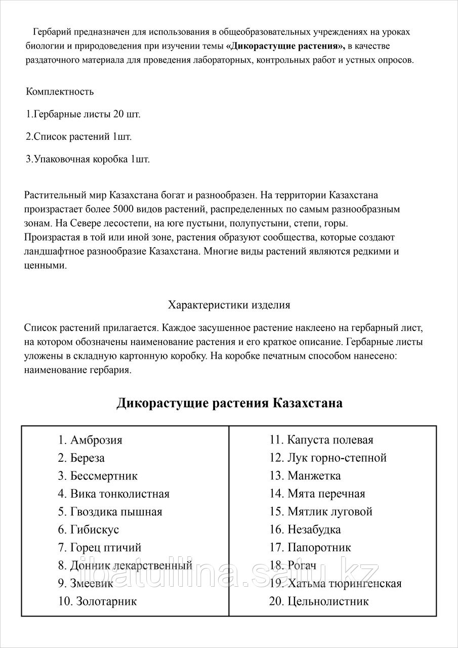 Гербарий. Дикорастущие растения