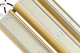 Модуль GOLD, универсальный UM-3, 288 Вт, светодиодный светильник, фото 4