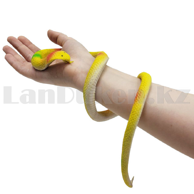 Сүйкімді брюнетка жалайды Жас кеуделі израильдік әйелмен порно