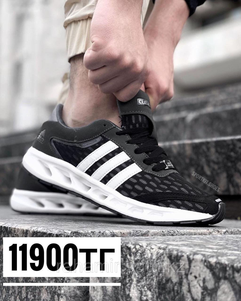 Кроссовки Adidas 2002 тем сер 2021-7, фото 1