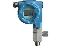 Датчик точки росы Panametrics DewPro MMY30