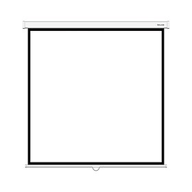 Экран Deluxe DLS-M203xW (80"х80"), Ø - 113", Раб. поверхность 195х195 см., 1:1