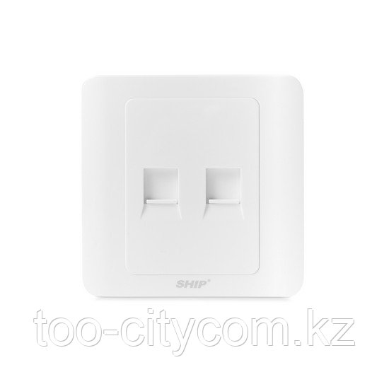 SHIP A160-2А 2 модуліне арналған телекоммуникациялық бет панелі, фото 1