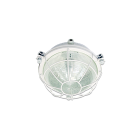 Светильник ДПП03-16-003 850