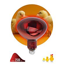 Инфракрасная лампа Эра для животных ИКЗК  Е27 220-250 Вт R127