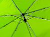 Зонт Picau из переработанного пластика в сумочке, зеленое яблоко, фото 5