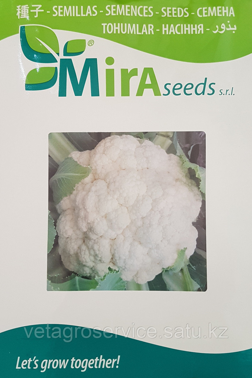 Капуста цветная ВС-6015 F1 MirraSeeds 1000 семян - фото 1 - id-p107735491