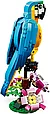 Lego 31136 Creator Экзотический попугай, фото 5