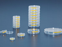 Чашки Петри культуральные, d= 40 мм, рабочая поверхность 9,2 см2, PS, стерильные.
