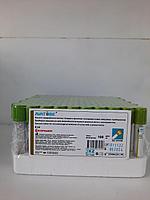 Дөрекі лесбиянка порно Жалаңаш актриса Назарева