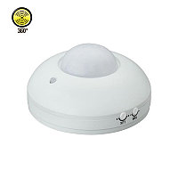 FOCUS датчик движения