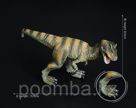 Динозавр Аллозавр, фото 2