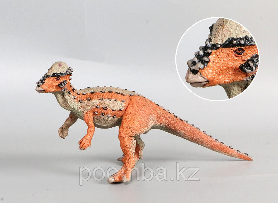 Динозавр Пахицефалозавр