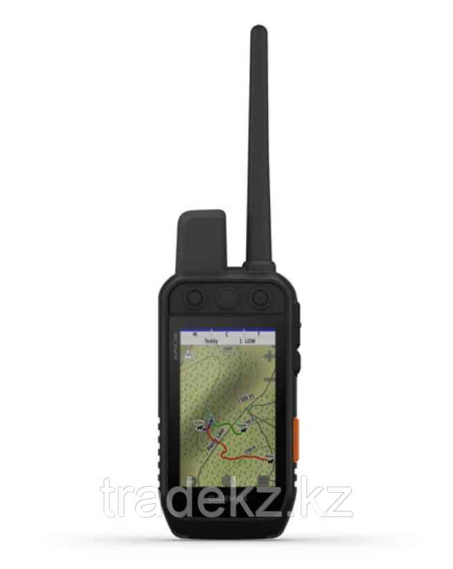 GPS навигатор для слежения за собакой Garmin Alpha 200 - фото 1 - id-p100673096