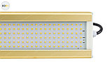 Модуль GOLD, консоль K-1, 80 Вт, светодиодный светильник, фото 5