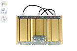 Низковольтный светодиодный светильник Прожектор GOLD, универсальный U-3 , 81 Вт, 12°, фото 5