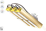 Низковольтный светодиодный светильник Прожектор Взрывозащищенный GOLD, консоль K-3 , 159 Вт, 27°, фото 5