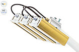 Низковольтный светодиодный светильник Модуль GOLD, консоль К-3, 96 Вт, фото 5