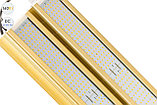 Низковольтный светодиодный светильник Модуль GOLD, консоль К-2, 160 Вт, фото 3
