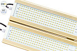 Низковольтный светодиодный светильник Модуль GOLD, консоль К-2, 248 Вт, фото 2