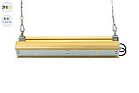 Низковольтный светодиодный светильник Модуль GOLD, универсальный UM-2 , 248 Вт, фото 6