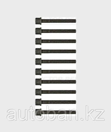Комплект болтов ГБЦ 10шт Audi 100/80/A4/A6 1.6/1.8/2.0 1986>