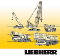 Кольцо V- образное Liebherr