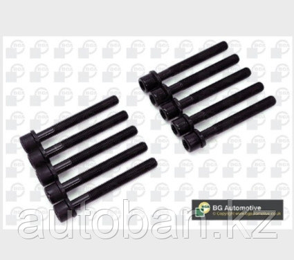 Комплект болтов ГБЦ 10шт Audi 100/80/A4/A6 1.6/1.8/2.0 1986>